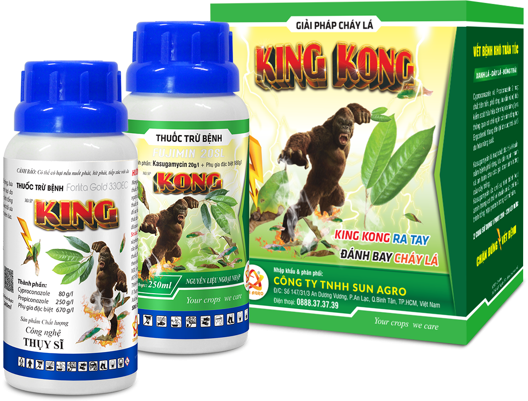 KING KONG